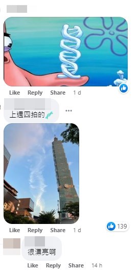 「DNA云」有台北101大楼作衬托。网上截图