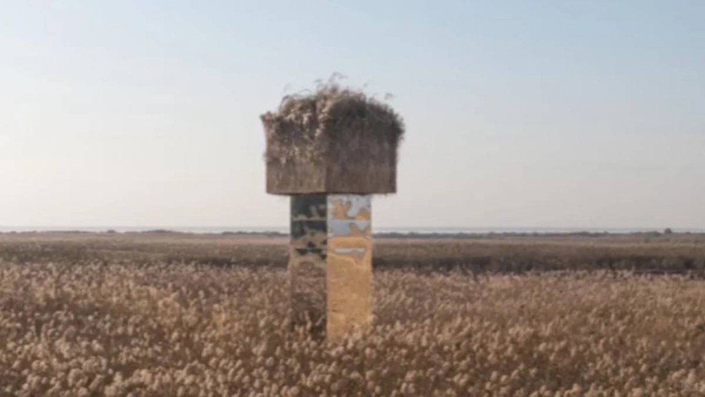 岳陽洞庭湖矗立逾10米鏡柱，被質疑成為候鳥死亡陷阱。小紅書＠MOMO