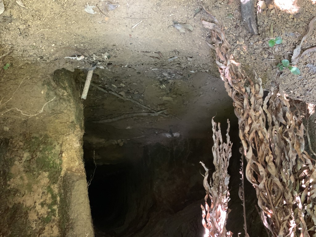 唐狗疑被斬傷後受驚躲入防空洞內。劉漢權攝