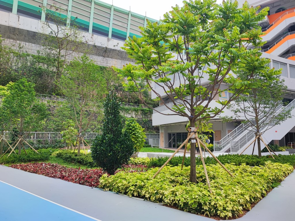 地下設垂直植生牆,旁為園圃石徑,綠化元素融入校園。(圖:受訪學校提供) 地下設垂直植生牆,旁為園圃石徑,綠化元素融入校園。(圖:受訪學校提供)