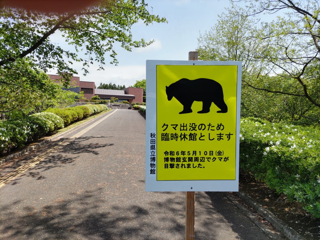 日本秋田縣鹿角市有熊出沒，政府擴大封山範圍。