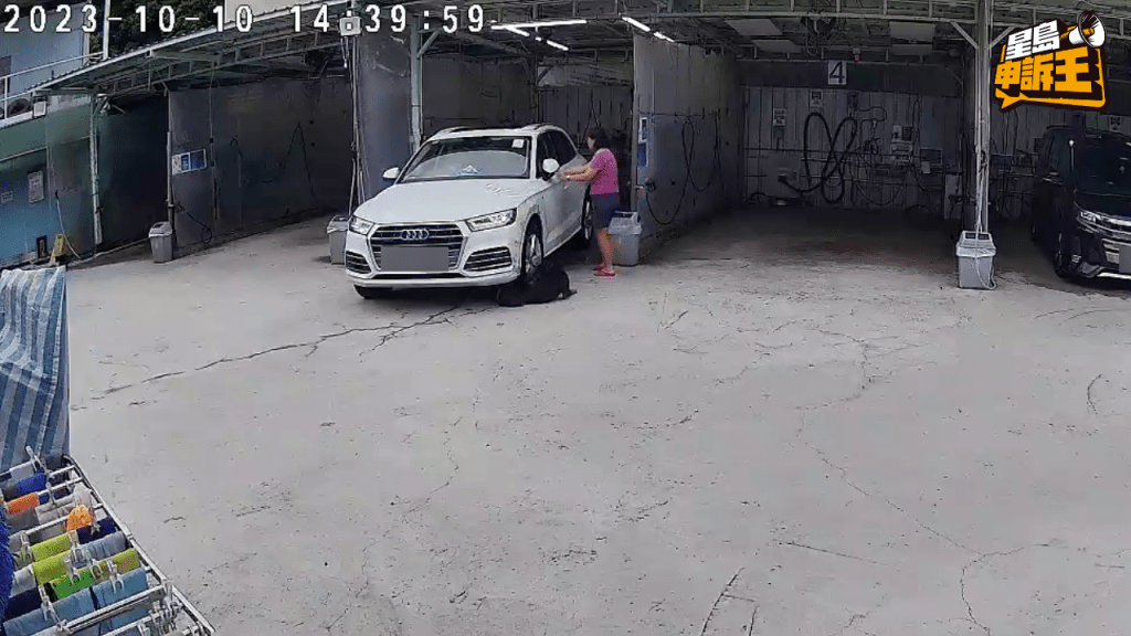出事后，女乘客跑到车辆，示意司机将车退后。(CCTV片段)