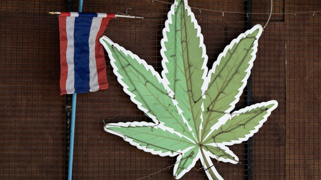 泰國大麻取消合法化，限醫療用途，需處方才可購買。 法新社