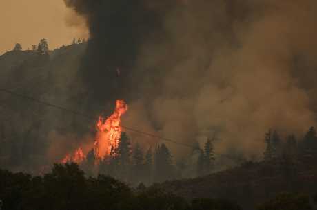 卑诗省奥索尤斯市树木起火。 路透社