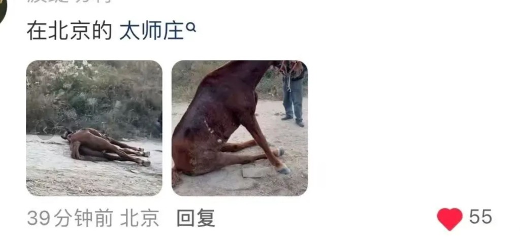 網民紛紛調查事發景區所在。
