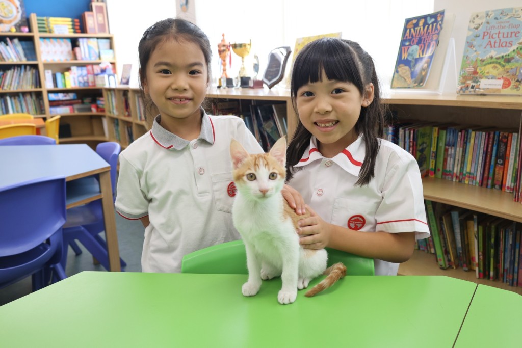 （圖片來源：嶺南大學同學會小學）