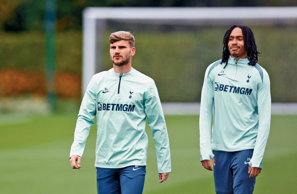 迪姆華拿（左）今季轉戰熱刺鮮有上陣，無疑是蹉跎歲月。