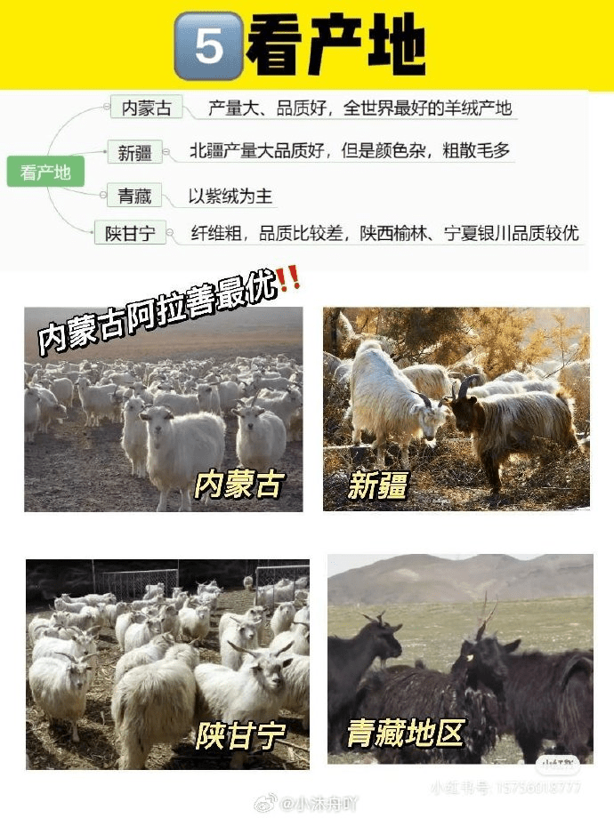 網傳鑒別山羊絨衫真假方法。