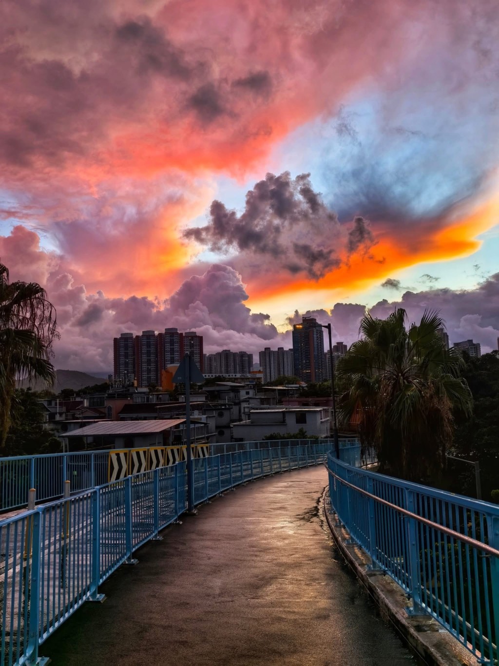 柏油路上噙著雨的鏡面,偷走了整片晨光。香港天文台fb截圖(攝:Dicky Ng / 2025年6月30日 / 粉 嶺 / #CWOS #社區天氣觀測計劃 ) 柏油路上噙著雨的鏡面,偷走了整片晨光。香港天文台fb截圖(攝:Dicky Ng / 2025年6月30日 / 粉 嶺 / #CWOS #社區天氣觀測計劃 )