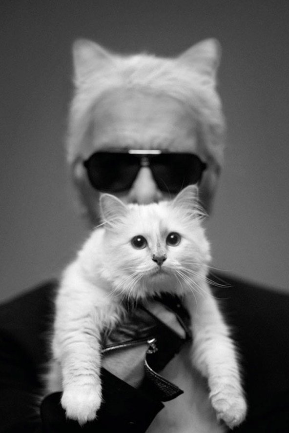 有網民擔心Choupette的將來。Twitter