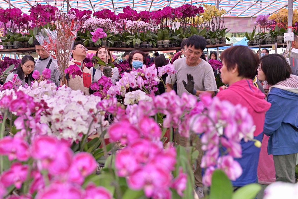 为期7日的农历年宵市场于1月23日（年廿四）开锣。资料图片