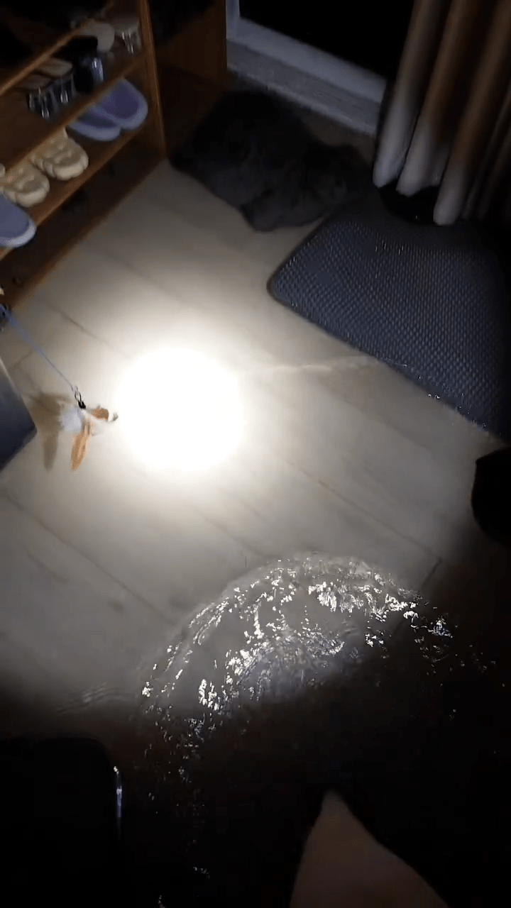 陷入一片漆黑，她只能無助地用電筒照明，四處視察室內情況（圖片來源：phiyanaet＠Threads）
