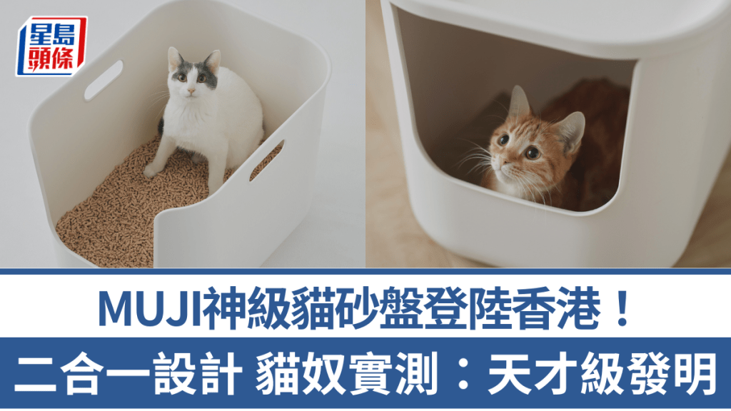 MUJI神級貓砂盤登港！貓廁所＋貓屋二合一設計 貓奴實測：天才級發明