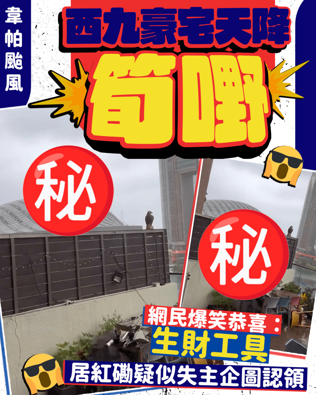 韋帕颱風｜西九豪宅天降「筍嘢」 網民爆笑恭喜：生財工具 居紅磡疑似失主企圖認領｜Juicy叮