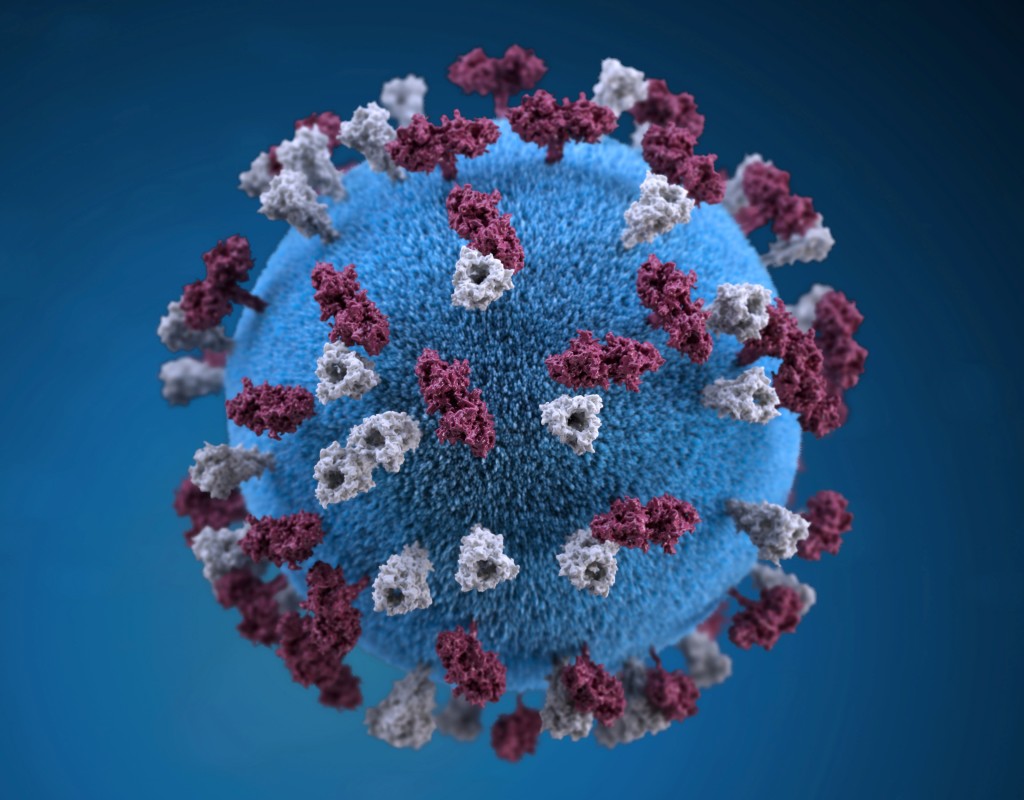 麻疹病毒是最具傳染性的病毒之一。路透社