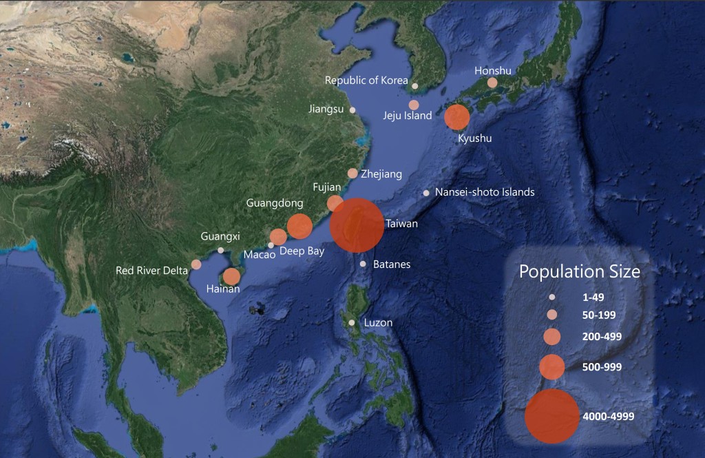 台湾继续是黑面琵鹭最主要栖息地，约占全球64%。香港观鸟会提供