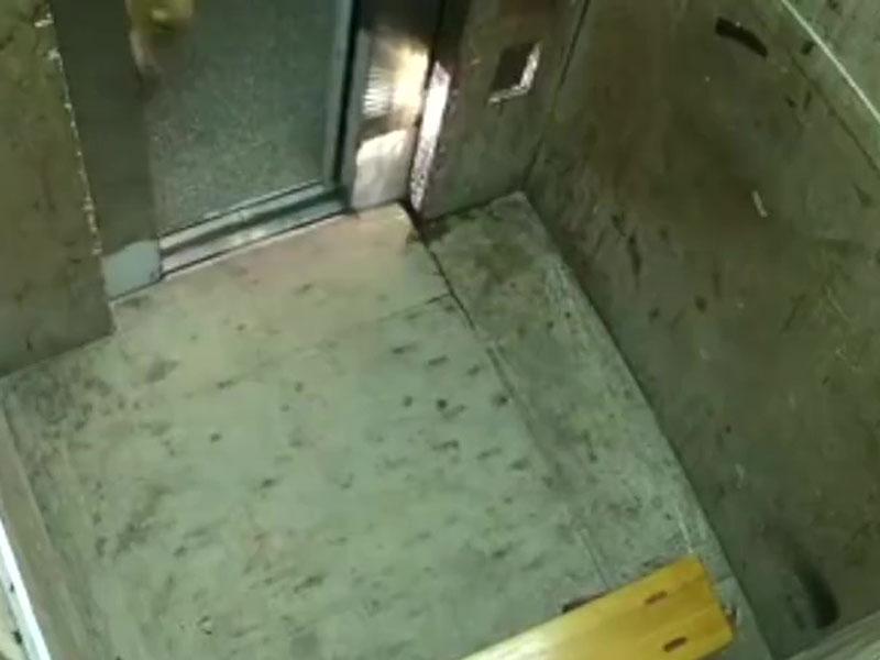女子嚇得趁電梯門關上前走出電梯。(網圖)