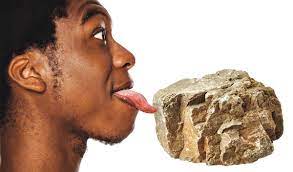 為何愛舔石頭的研究也能獲獎。