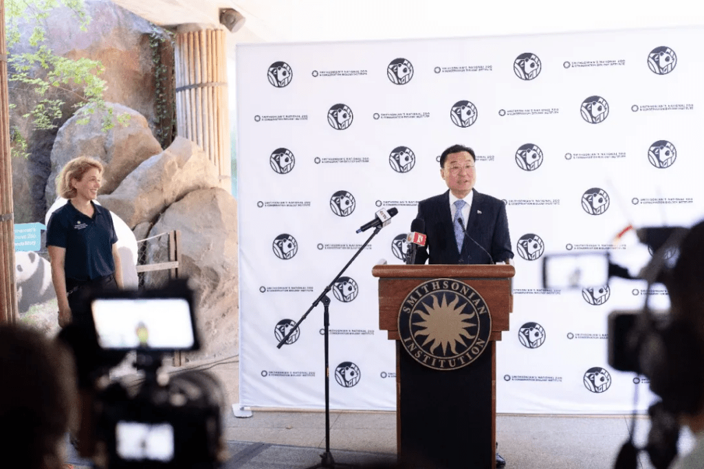 中国驻美大使谢锋：中美开启新一轮大熊猫保护合作。