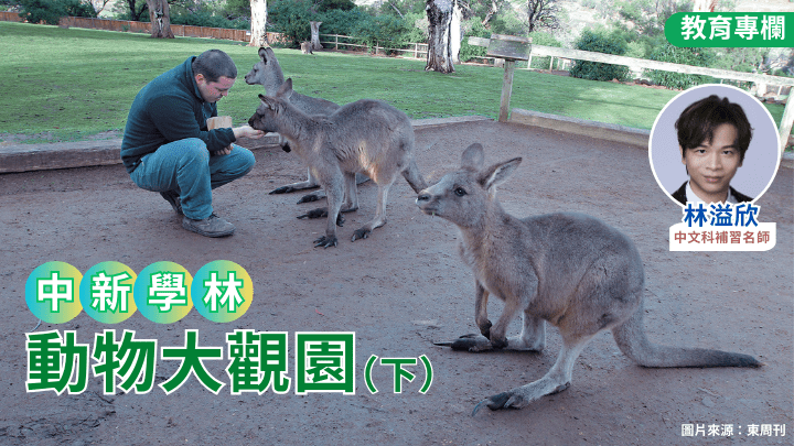  林溢欣 - 动物大观园（下）｜中新学林 