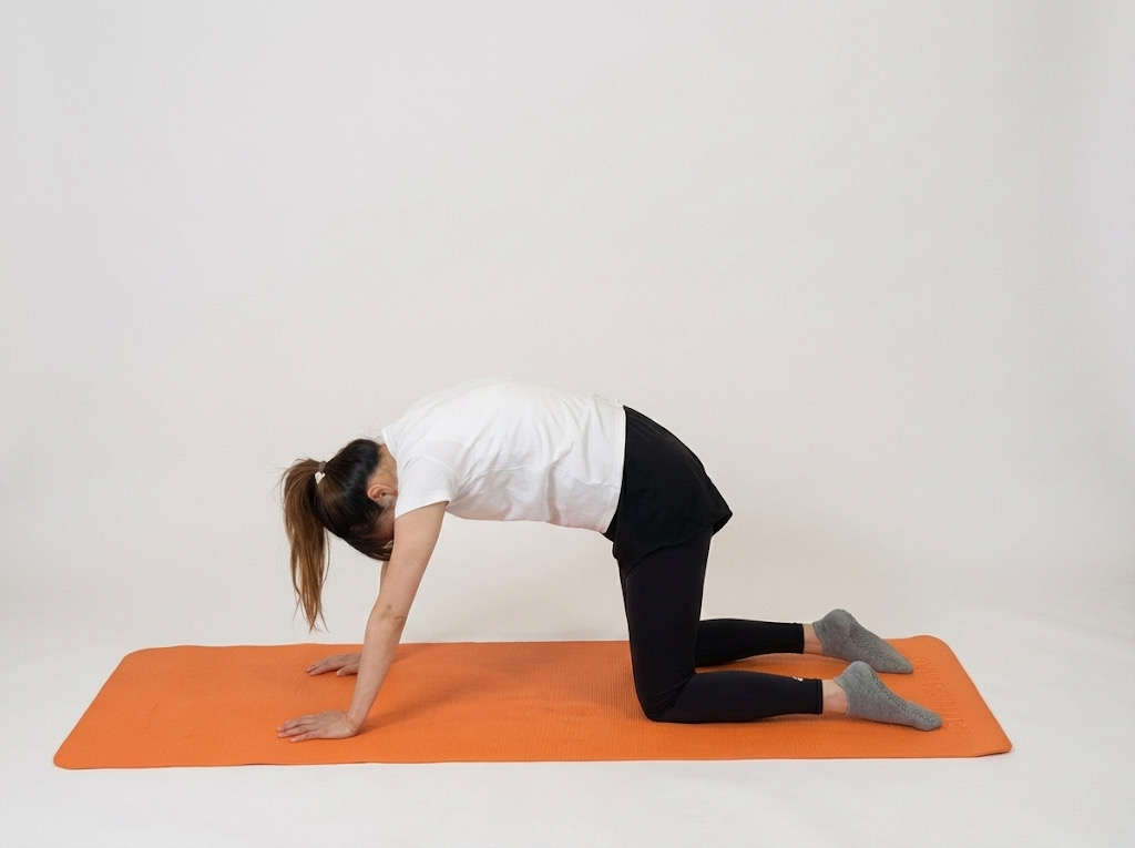 （圖片來源：香港基督教服務處）