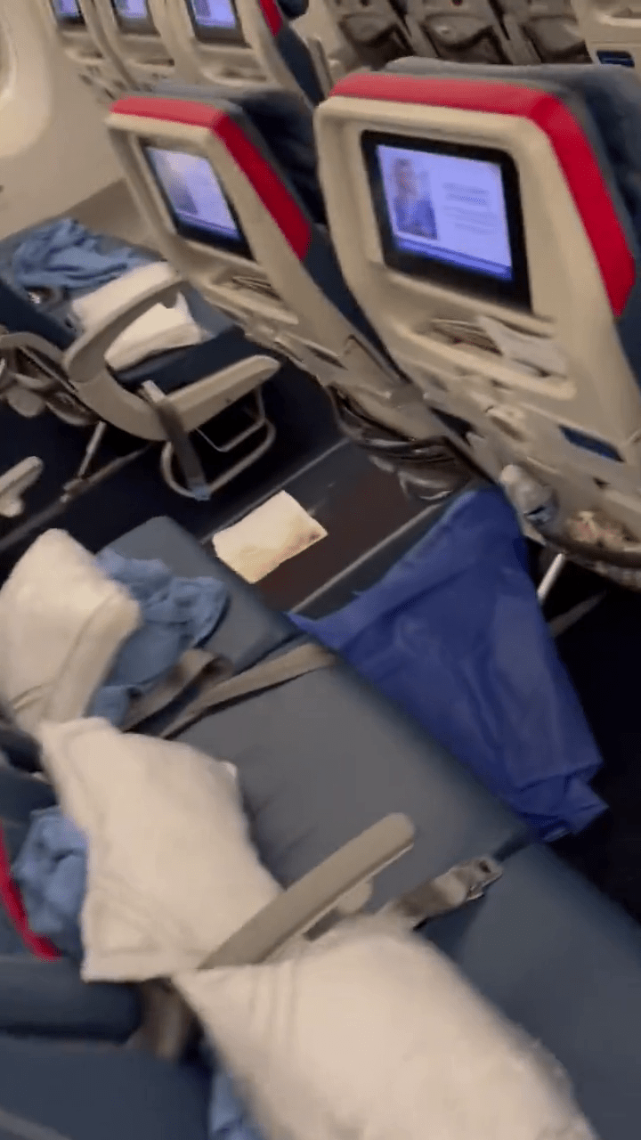 网片显示达美航空客机的走廊满布粪便已被纸巾盖起来。