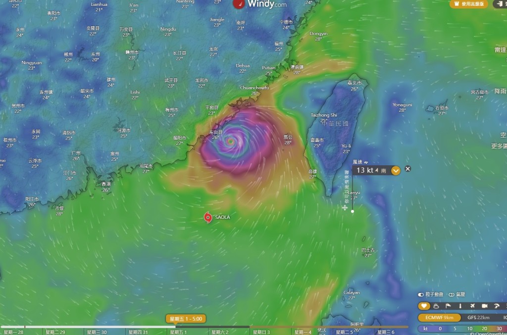 歐洲中期天氣預報中心（ECMWF）預測。（windy截圖）