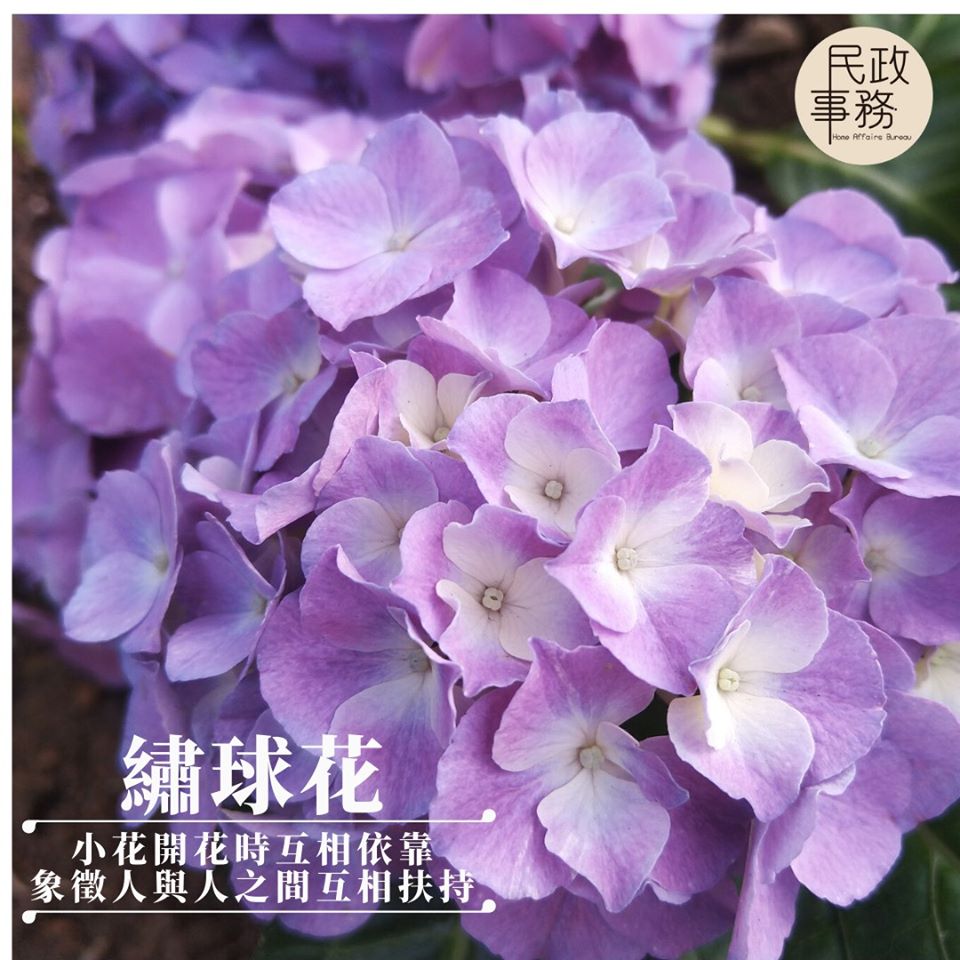 民政事務局FB