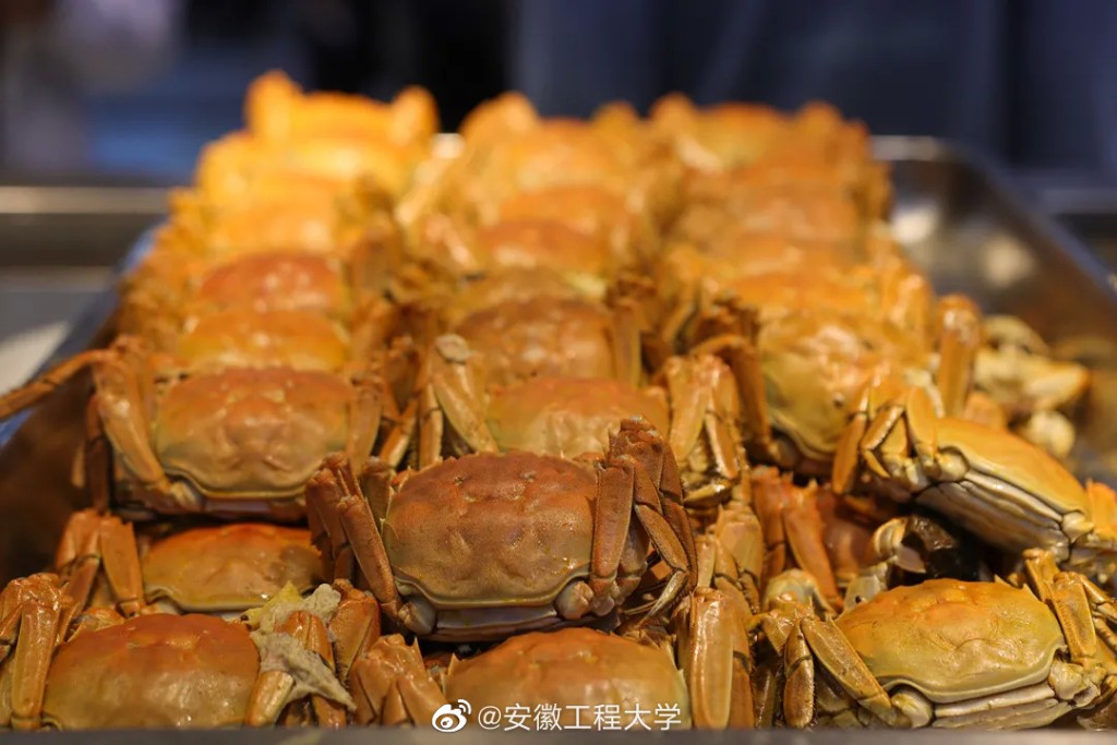 安徽工程大學微博圖片
