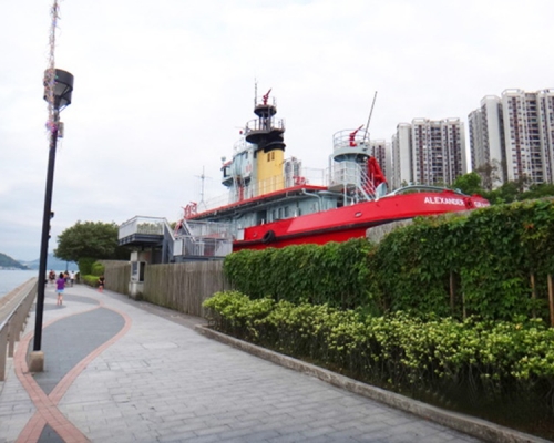 老婦在鰂魚涌公園對開海面載浮載沉。網圖