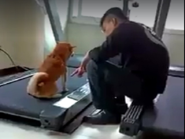 影片截圖
