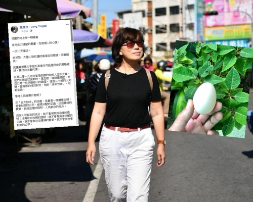 龍應台FB圖片