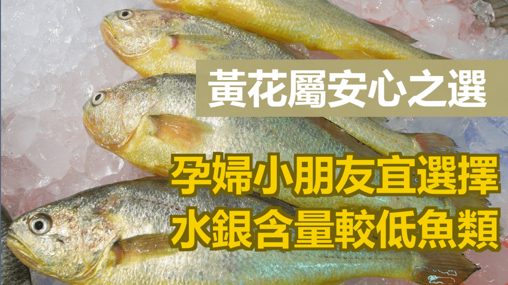 食物安全中心推介黃花魚。資料圖片