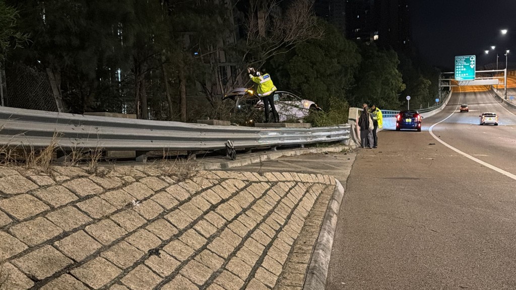 今日凌晨2時左右，一輛白色Tesla私家車沿青榕街行駛期間，突然自炒鏟上路邊草叢，女司機一度受困，其後由救防救出。蔡楚輝攝