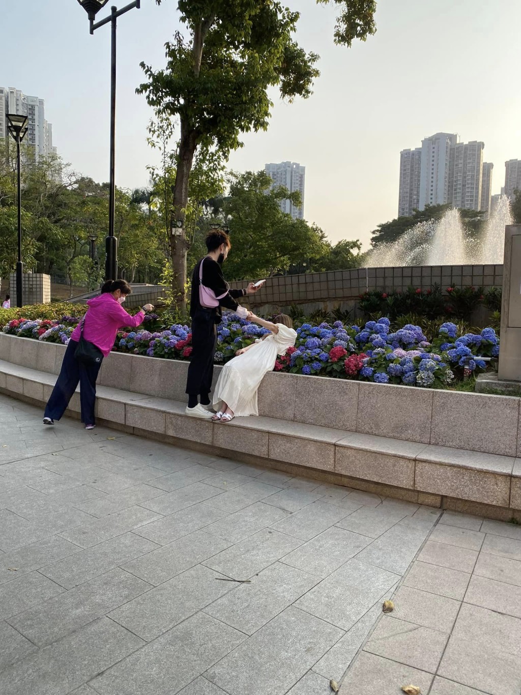 「瞓身」壓在繡球花上讓男方拍照。（圖片來源：FB @ 香港風景攝影會）