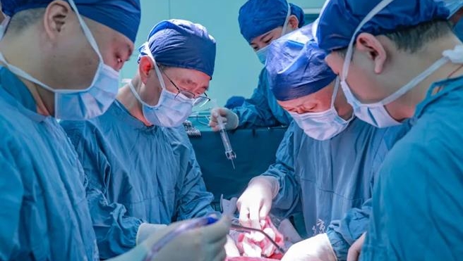 中国专家进行猪肝移植到人体实验。