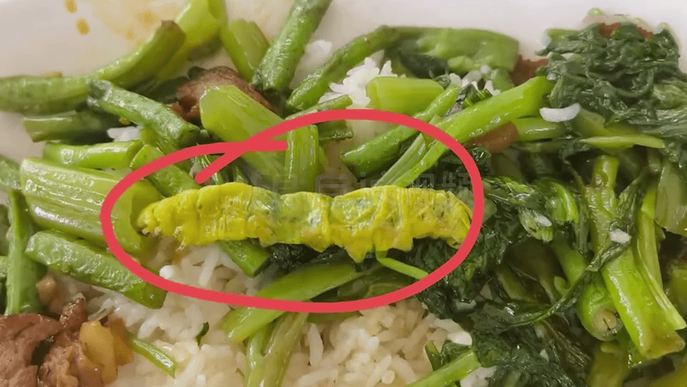 江西工業職業技術學院學生表示在食堂吃出毛虫。