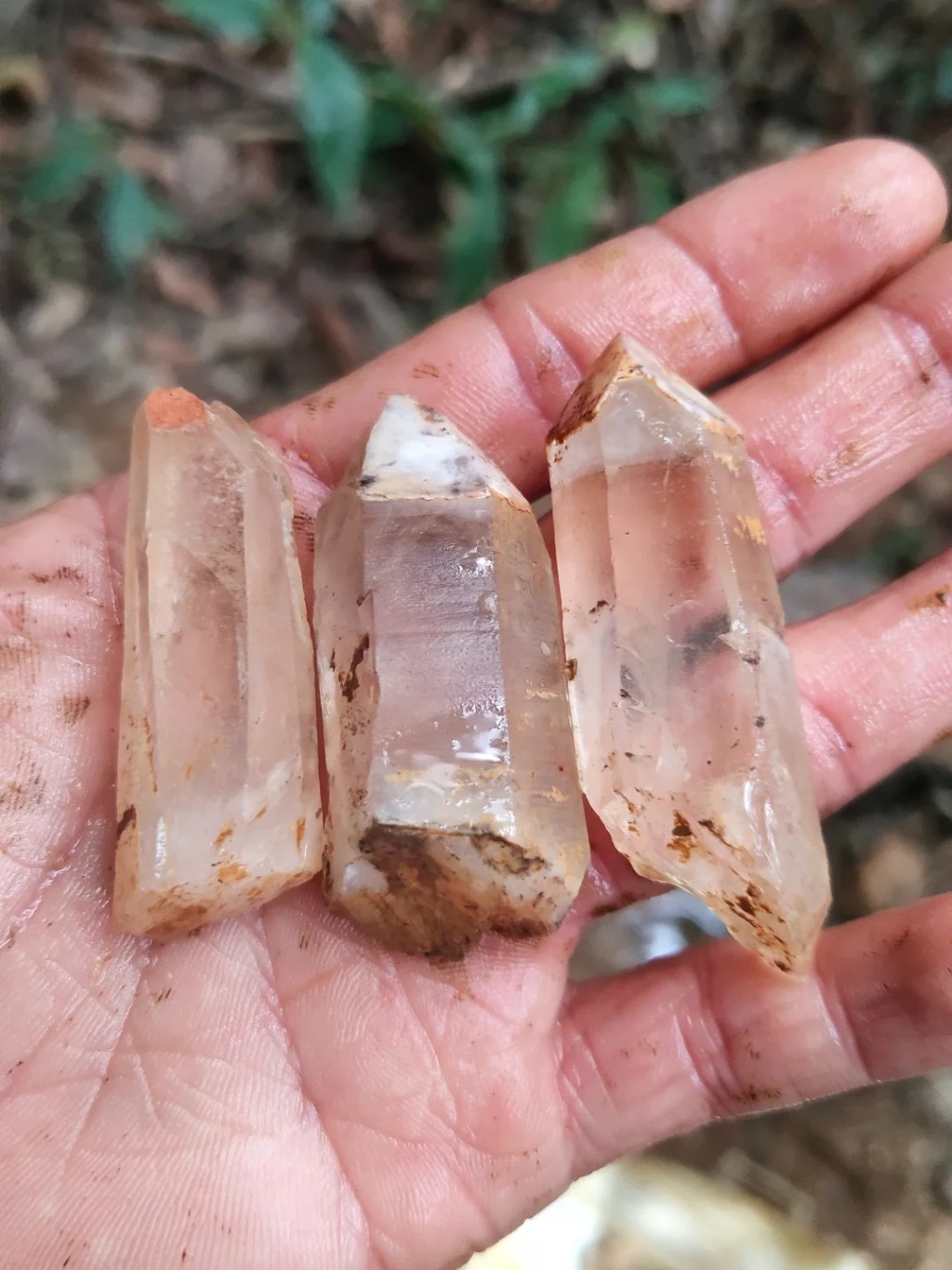 广州暹岗大山遭非法开挖水晶，许多网民展示战利品。小红书