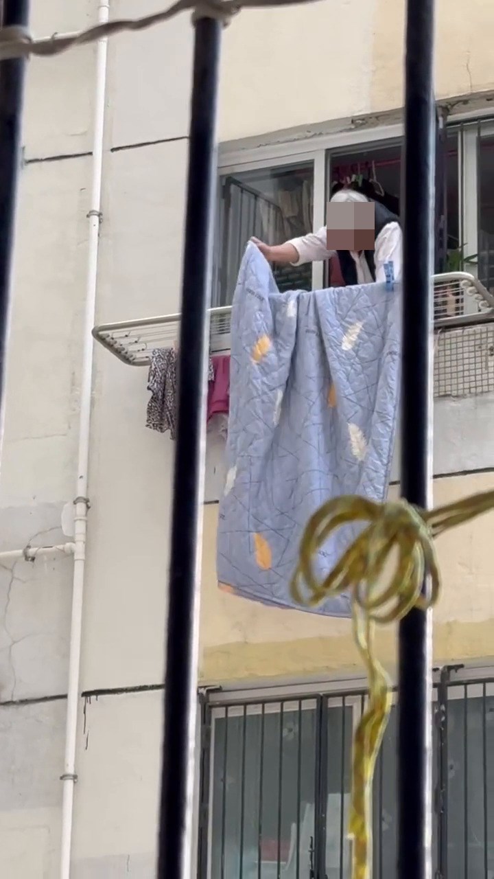 Threads截圖(資料來源:mimichelle_kong@Threads) Threads截圖(資料來源:mimichelle_kong@Threads)