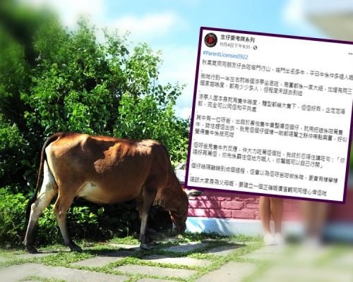 港爸用遮篤塔門牛,被網民斥責教壞兒子。資料圖片及「生仔要考牌系列」FB
