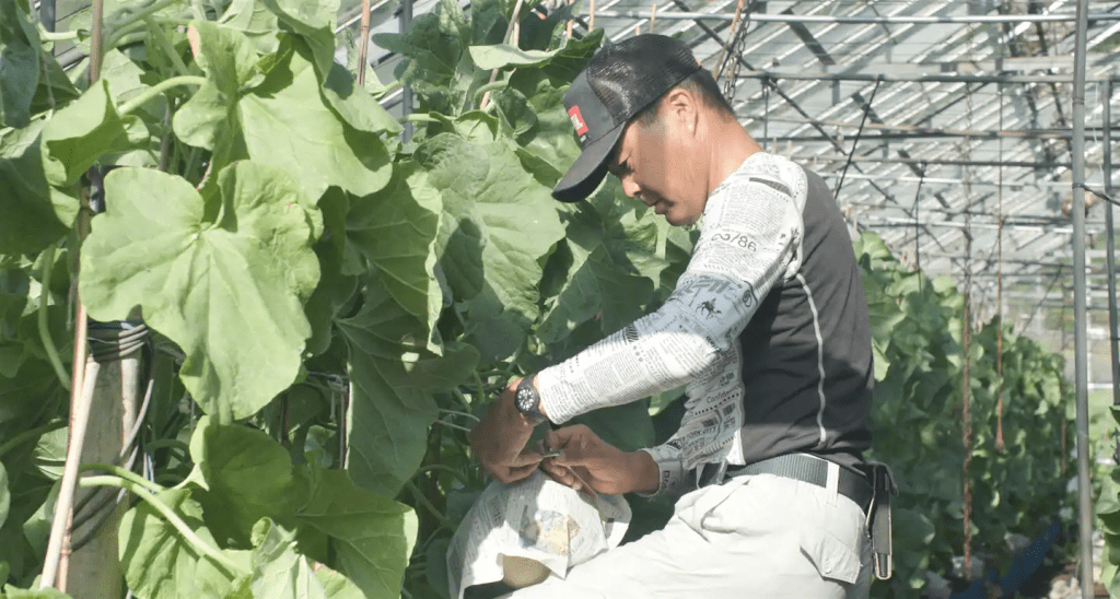 民宿與當地農民合作舉辦限定體驗活動（圖片來源：MUJI BASE KAMOGAWA）