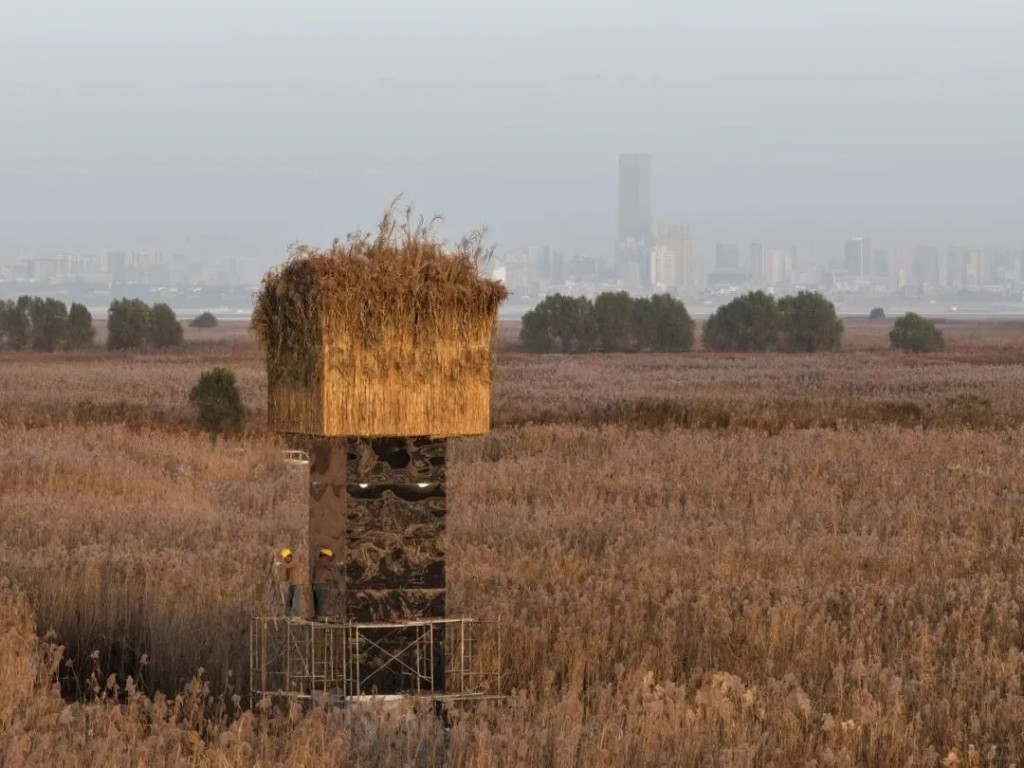 岳阳洞庭湖矗立逾10米镜柱,被质疑成为候鸟死亡陷阱。小红书 岳阳洞庭湖矗立逾10米镜柱,被质疑成为候鸟死亡陷阱。小红书