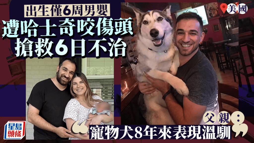 男嬰遭寵物犬咬傷，搶救6日後不治。