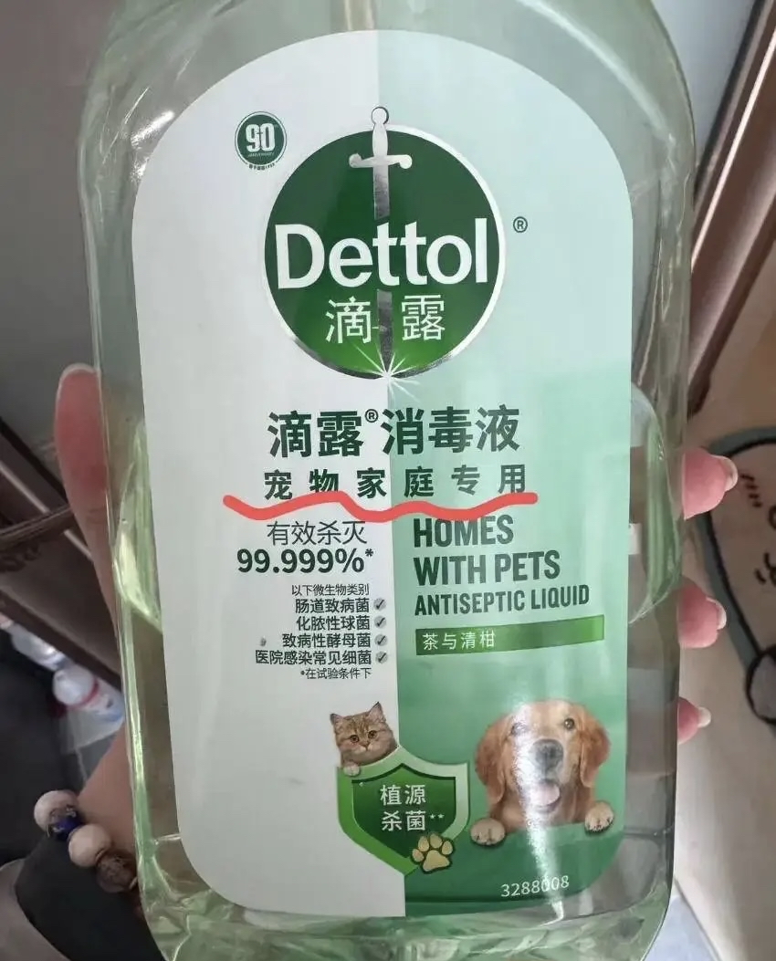 女子用「寵物消毒液」拖地後5幼貓死亡。