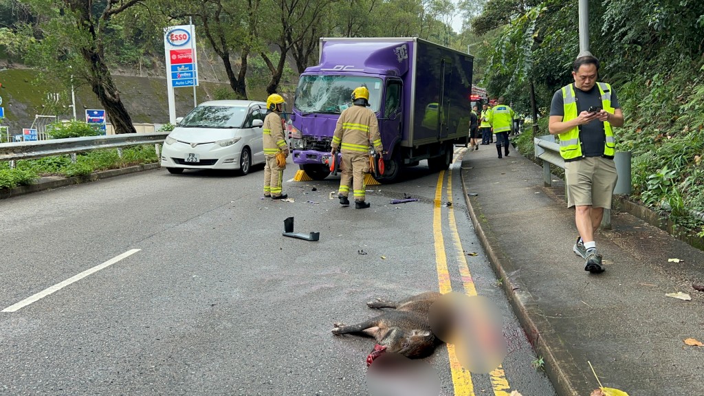 貨車車頭損毀，擋風玻璃爆裂。林思明攝