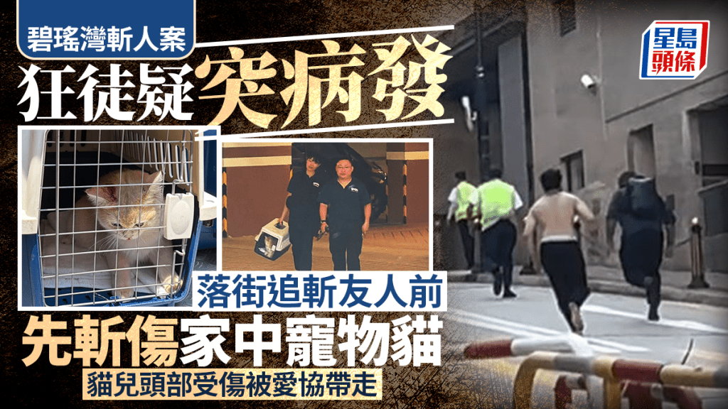 碧瑤灣斬人│警登門調查揭「案中有案」 疑犯寓所家貓同遭斬傷頭流血