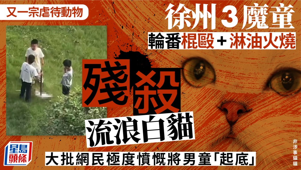 虐待動物 | 徐州3男童殘殺流浪白貓  輪番棍毆再潑油火燒