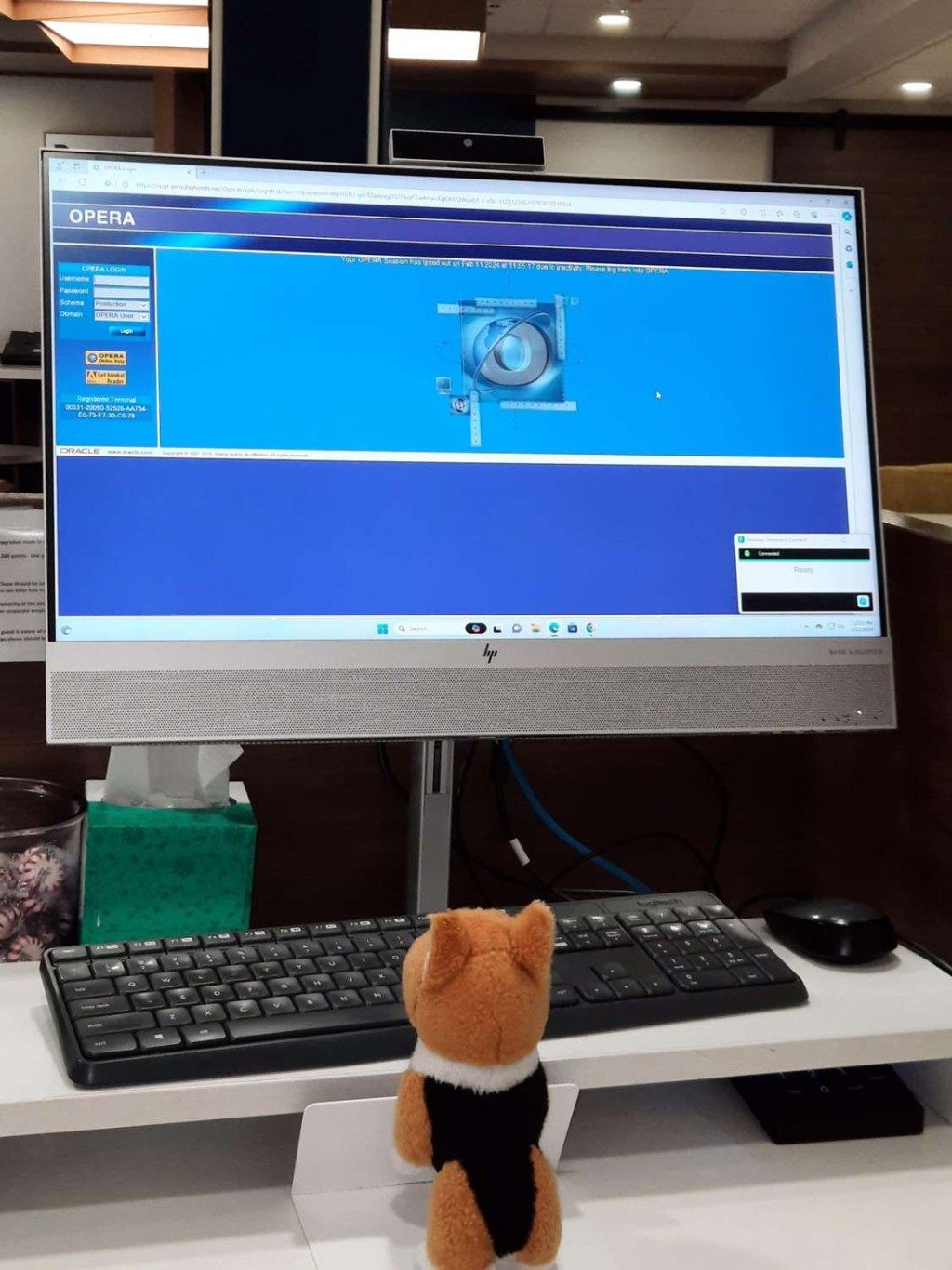 「抱抱小狗」对着电脑工作，帮忙招待客人。