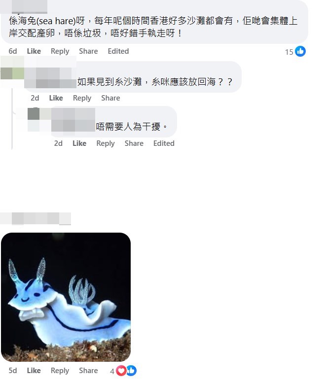 網民：唔係垃圾，唔好錯手執走呀！fb「香港自然生態論壇」截圖