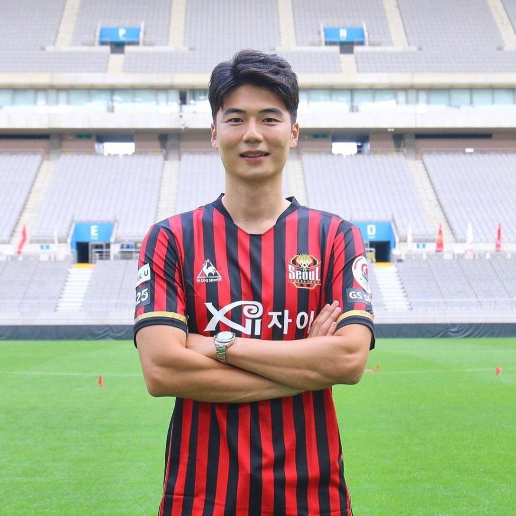奇誠庸目前正效力FC首爾。
